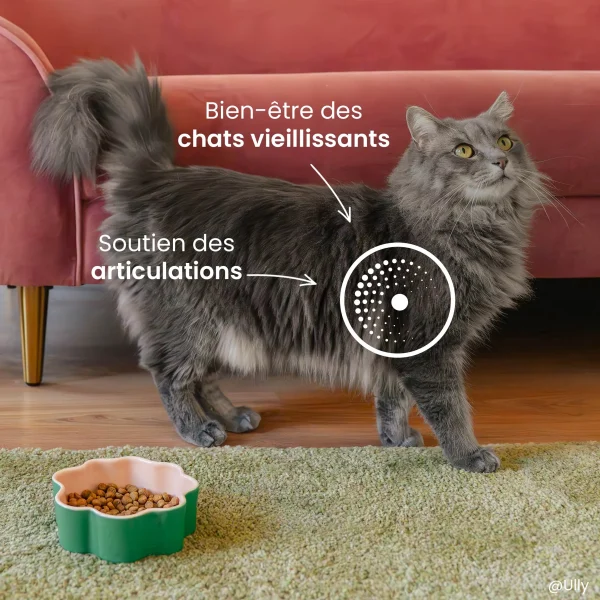 Croquettes Senior 7+ pour chat stérilisé – Care - 5kg