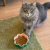 Croquettes Senior 7+ pour chat stérilisé – Care - 5kg