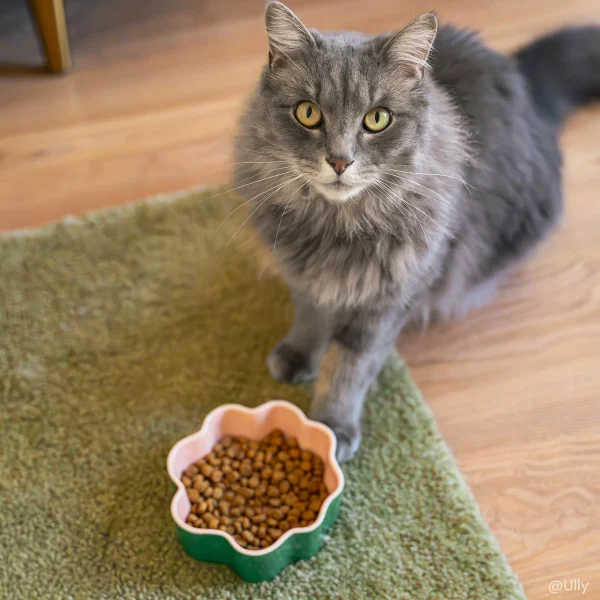 Croquettes Senior 7+ pour chat stérilisé – Care - 5kg