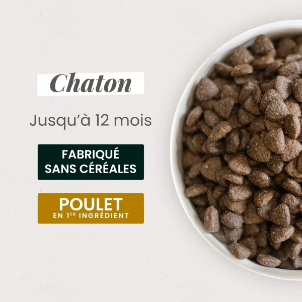 CAT0305-new-2.webp Croquettes pour Chaton sans céréales 3kg