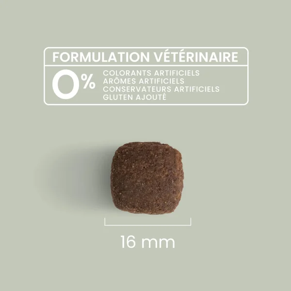 GF1203-new-3.webp Original - Croquettes sans céréales - 12kg