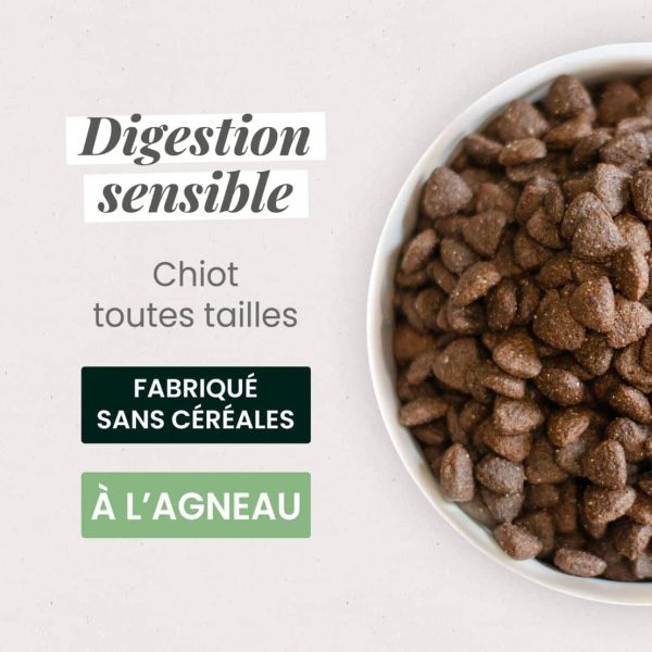 GF1205-croquettes.jpg Chiot digestion sensible toutes tailles Croquettes sans céréales – 12kg