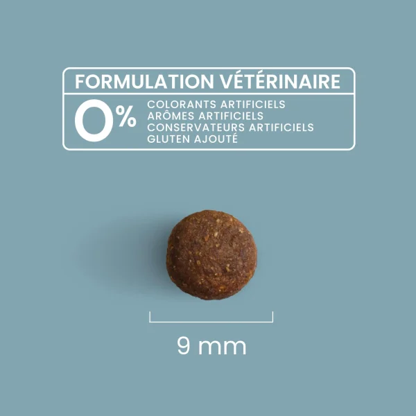 LG0803-new-3.webp Chien adulte de petite taille +10 kg Croquettes super premium - 8kg