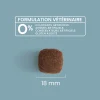 Chien adulte de grande taille >30 kg  Croquettes super premium – 12kg