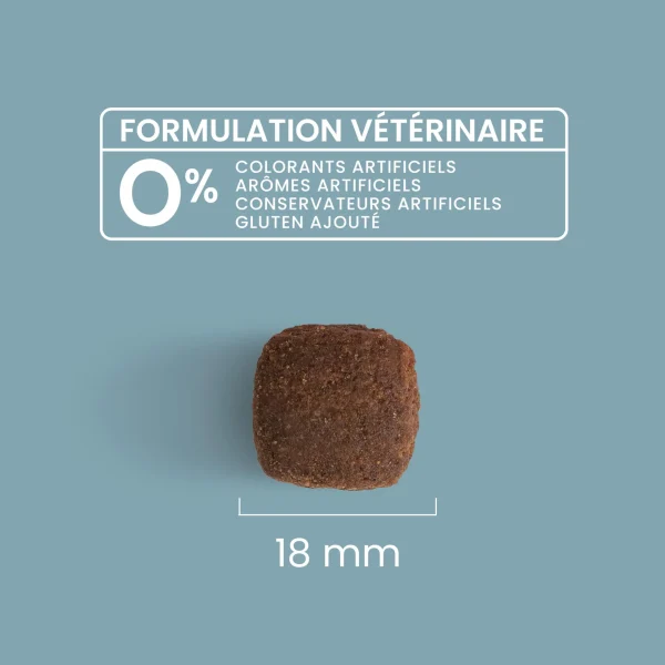 Chien adulte de grande taille >30 kg  Croquettes super premium – 12kg