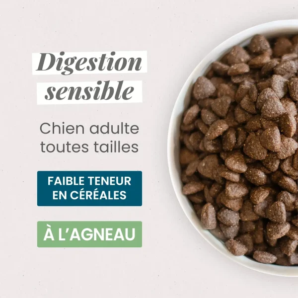 LG1208-new-1.webp Chien sensible toutes tailles Croquettes super premium – Agneau et riz –12kg