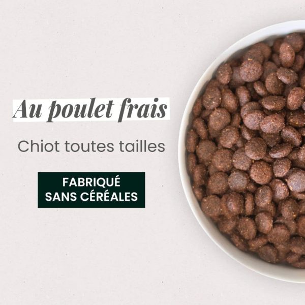 Croquettes au poulet frais Croquettes Sans céréales - 12kg