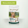 Treat-12-new-1.webp Friandise croustillante pour chat - 60gr