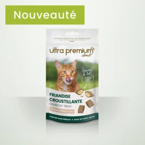 Friandise croustillante pour chat - 60gr