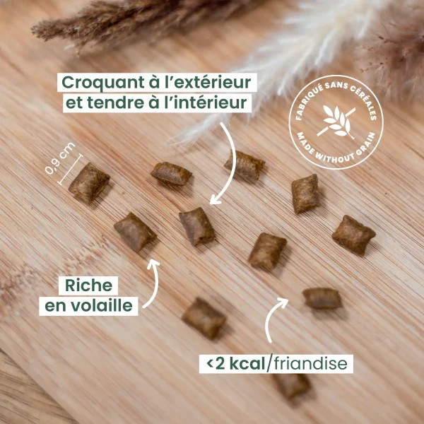 Treat-12-new-2.webp Friandise croustillante pour chat - 60gr