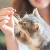 Treat-7-new-3.webp Friandise apaisante pour chat - 40gr