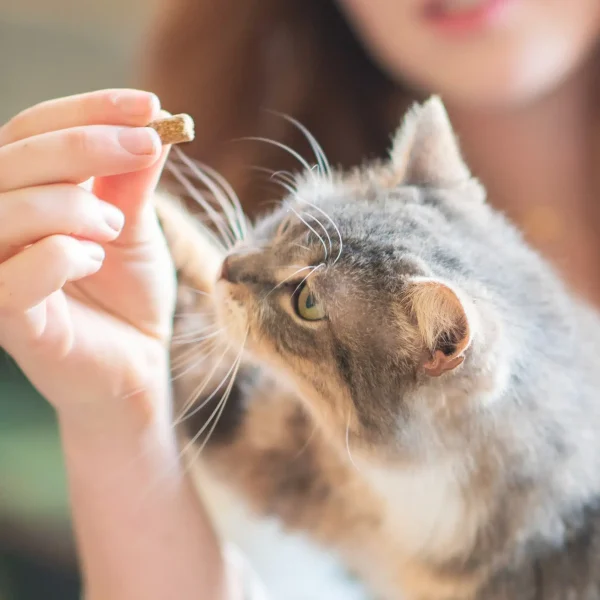 Treat-7-new-3.webp Friandise apaisante pour chat - 40gr