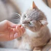 Treat-7-new-5.webp Friandise apaisante pour chat - 40gr