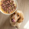 Tendres émincés en sauce pour chien sans céréales – Agneau & haricots verts - 85gr